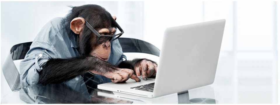 Code Monkey